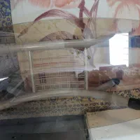 شیشه ای میز