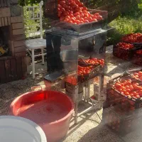 ابگیری گوجه و انگور درب منزل