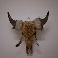 مجسمه کله گاو میش .طبیعی . دیوار کوب. حکاکی شده.