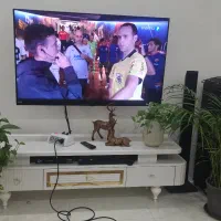 تلوزیون جی پلاس 55