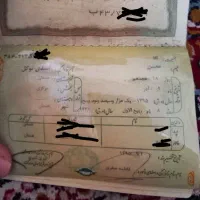 شناسنامه گم شده