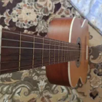 گیتارm5|گیتار، بیس، امپلیفایر|مینودشت, |دیوار