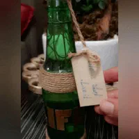 گلدانهای تزئینی پتوس love+life+magic