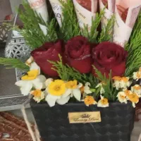 نیروی خانم
