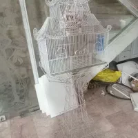 قفس پرنده با پایه درحد نو