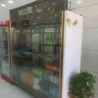 یخچال دومتری