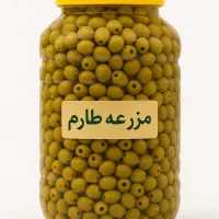 زیتون و روغن زیتون