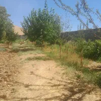 فروش