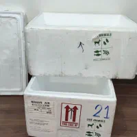 ینولیت باکس یخدان