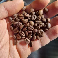 قهوه ویتنام درجه یک