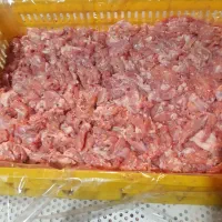 بچه فیله درجه یک ۲۷۰