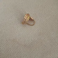 گوشواره زیبا