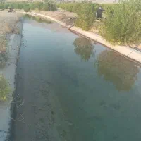 فروش ملک کشاورزی گچساران دشت بزرگ لیشتر
