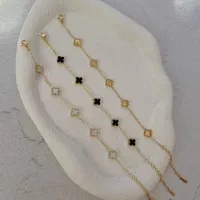 بدلیجات رنگ ثابت ضمانتی|بدلیجات|مشهد, ادیب نیشابوری (شهرک غرب)|دیوار