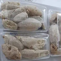 عسل وحشی|خوردنی و آشامیدنی|فیروزآباد (فارس), |دیوار