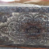 شش عددپشتی سالم در حد نونو خوشرنگ