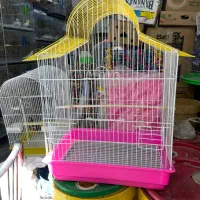 انواع قفس و ملزومات پرندگان