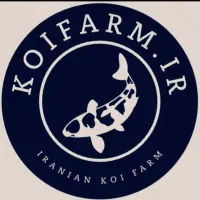 فروش 100 قطعه ماهی کوی تایلندی