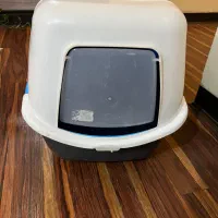 ظرف خاک گربه