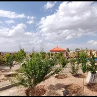 باغ باغچه زمین ۵۶۶ متری فروشی یا معاوضه با پژو۴۰۵|فروش زمین و ملک کلنگی|مشهد, عبادی|دیوار