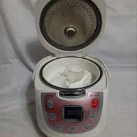 پلوپز ـ آرامپز مارک الیتا|اجاق گاز و لوازم برقی پختوپز|فلاورجان, |دیوار