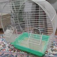 قفس عروس و کوتوله