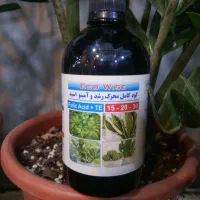 کود کامل گیاهان آپارتمانی
