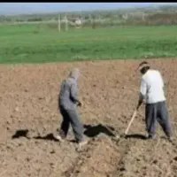 کارگر بیل زنی باغبانی