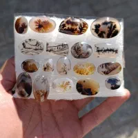 بارخونه نگین شجر