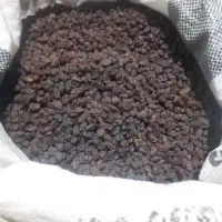 کشمش درجه ۱|خوردنی و آشامیدنی|کرج, اصفهانیها|دیوار