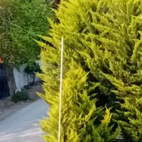 کارگر ساده برای شهرک  خصوصی