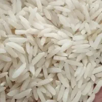 (هاشمی به صورت عمده)|عمدهفروشی|زنجان, |دیوار