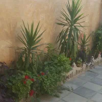 اجاره روزانه/هفتگی/ماهانه  ویلایی دربست توشن|اجارهٔ کوتاه‌مدت آپارتمان و سوئیت|گرگان, |دیوار