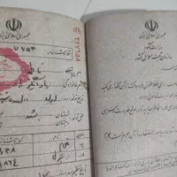 شناسنامه پیداشده