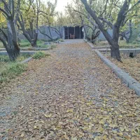 باغچه چهاردیواری ۱۵۰۰ متری در فردوسیه|فروش زمین و ملک کلنگی|فردوسیه, |دیوار