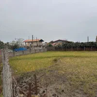 زمین مسکونی