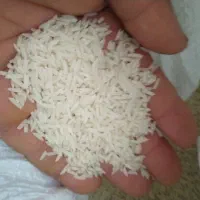 برنج هاشمی محصول خودم