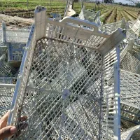 سبد میوه|ظروف نگهدارنده، پلاستیکی، یکبارمصرف|جیرفت, |دیوار