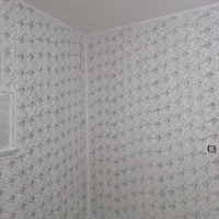 رنگ آمیزی ساختمان|خدمات پیشه و مهارت|بم, |دیوار