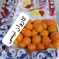 کربلا ۴و۶روزه و۲۲و۳۰آبان ایام فاطمیه ۸صندلی|تور و چارتر|اهواز, کوروش|دیوار
