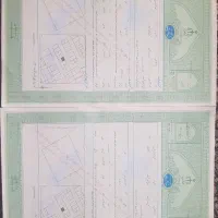 زمین فروشی دو کله در مدرس یازدهم (زابل)|فروش زمین و ملک کلنگی|زاهدان, |دیوار