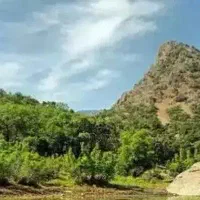 زمین-مسکونی-کارزان