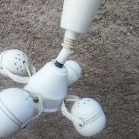 مهتابی دوقلو