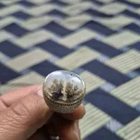 انگشتر شجر نقره