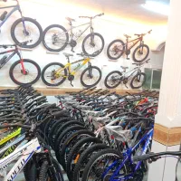 حساب دار خانم|استخدام مالی، حسابداری، حقوقی|اسدآباد, |دیوار