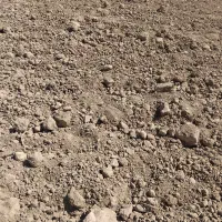 اجاره چاه کشاورزی