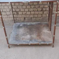 قفس کبوتر