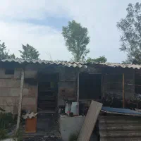 ۲۴۰۰متر باغ درشمال مازندران نشتارود کترا