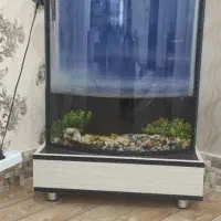 اکواریوم با وسیلهاش