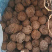 خرما صادراتی اصل بهبهان کیلو240|خوردنی و آشامیدنی|سبزوار, قاضی زاد|دیوار